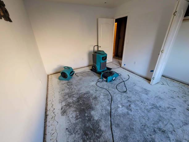 Best Emergency water extraction  in Tryon, NC