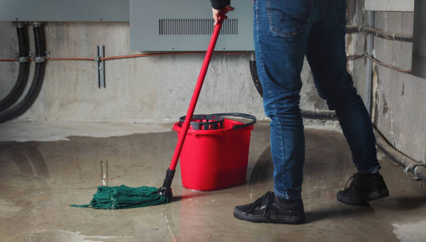 Best Professional water damage repair  in Tryon, NC