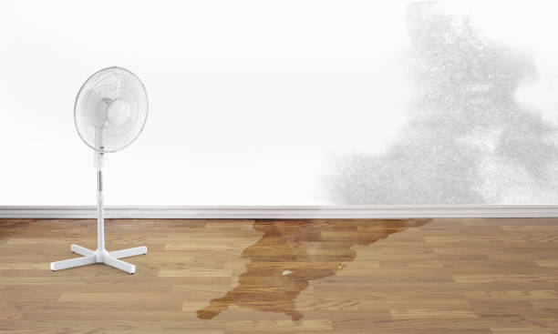 Best Flood damage cleanup  in Tryon, NC