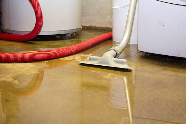 Best Carpet water damage restoration  in Tryon, NC