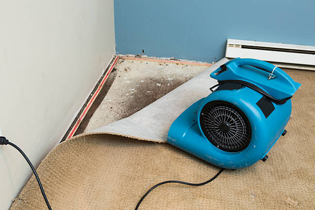 Best Water damage restoration near me  in Tryon, NC